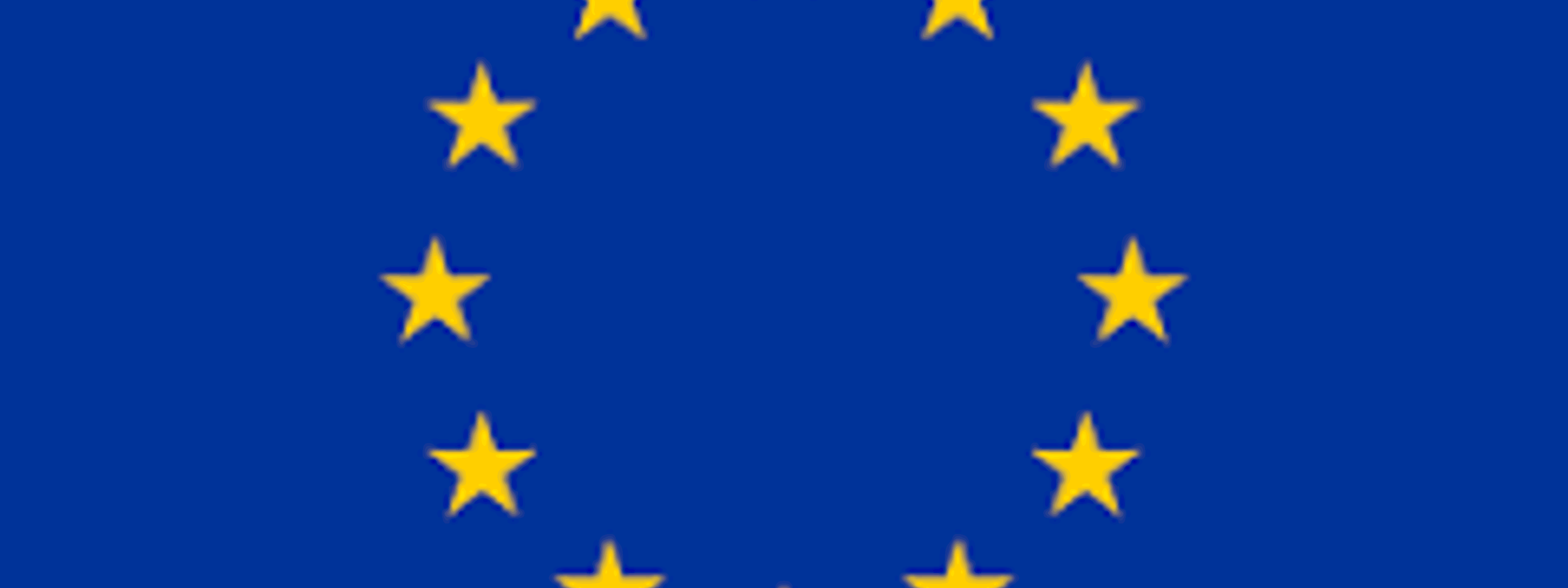 EU flagget. Blått flagg med gule stjerner i ein sirkel.