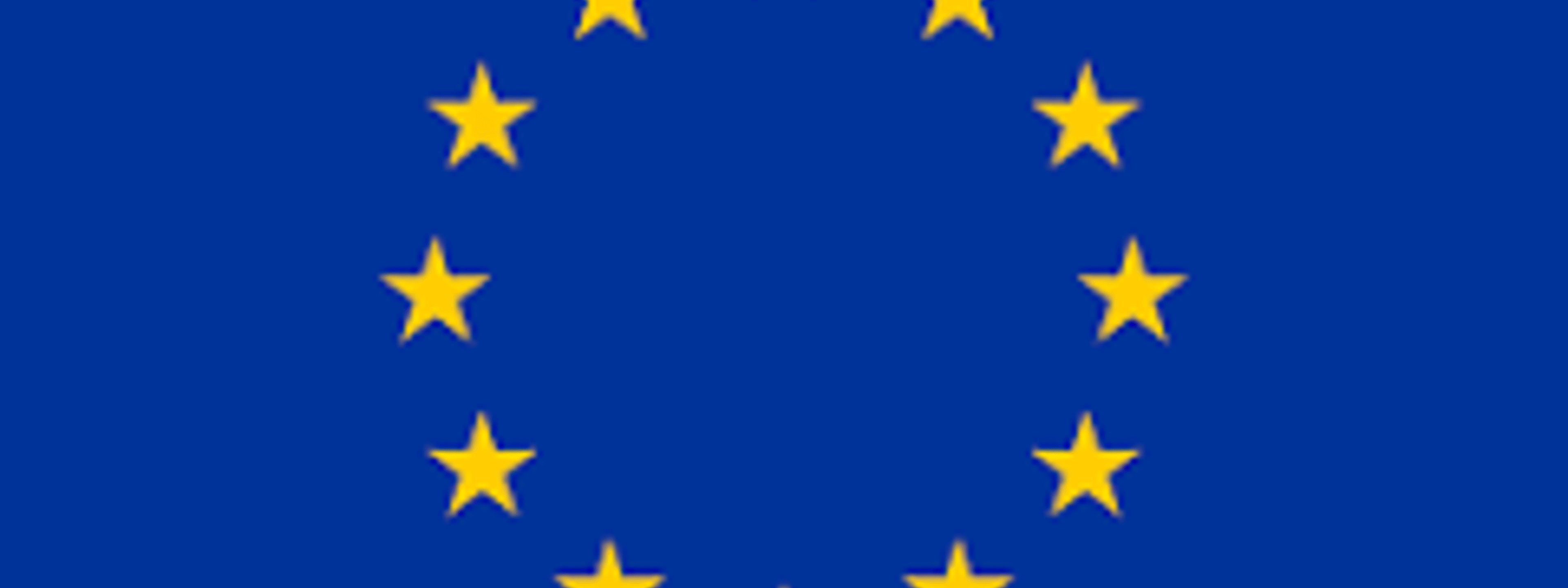 EU flagget. Blått flagg med gule stjerner i ein sirkel.